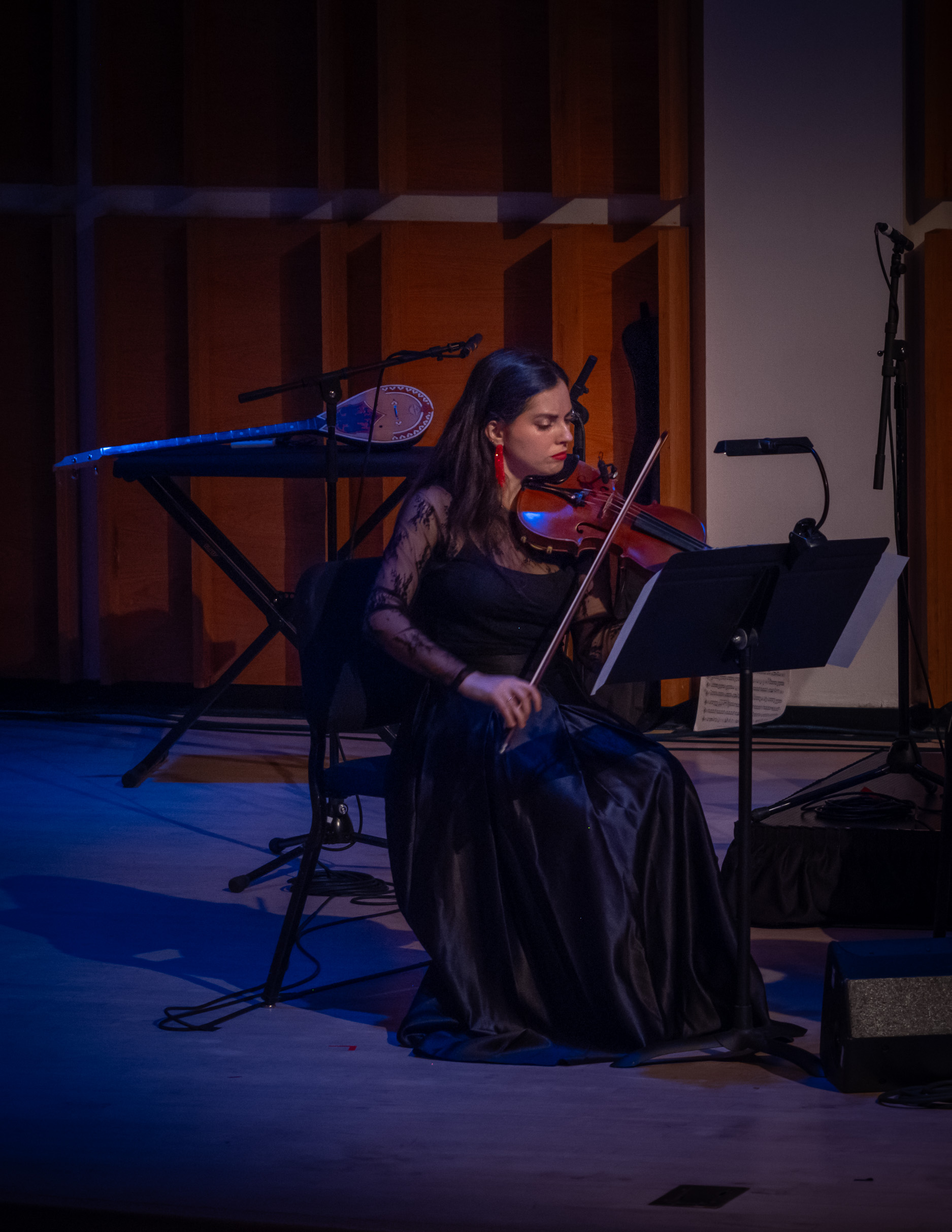 Concert photo 4